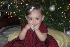 Clementine Christmas