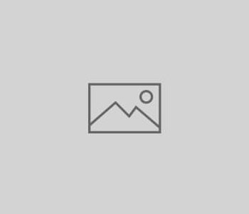 Profile Submission Form